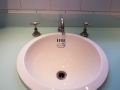 A Real Crapper