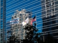 Flags Flying